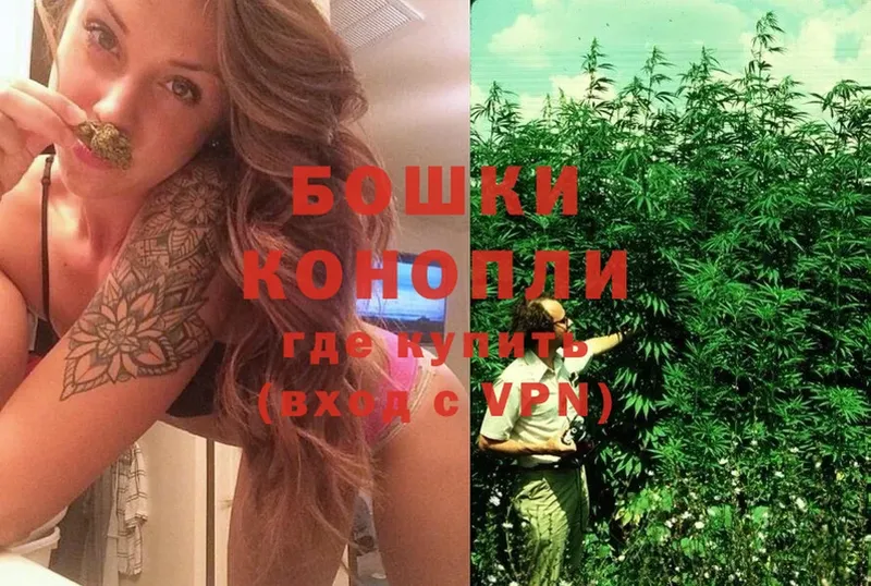 Бошки Шишки White Widow  гидра вход  Гаджиево  наркотики 